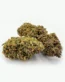 AK-47 Cannabis Strain