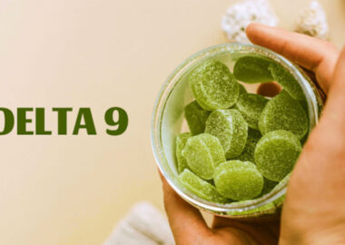 Best Delta 9 Gummies 2025 - Top THC Edibles for Flavor