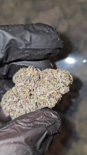 Triple Kings Cake | First Cut Exclusive