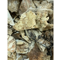 Dried Chicken of the Woods Wild Mushroom UK