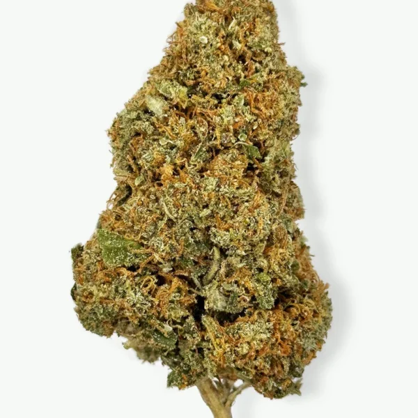 Gorilla Glue 4 Strain