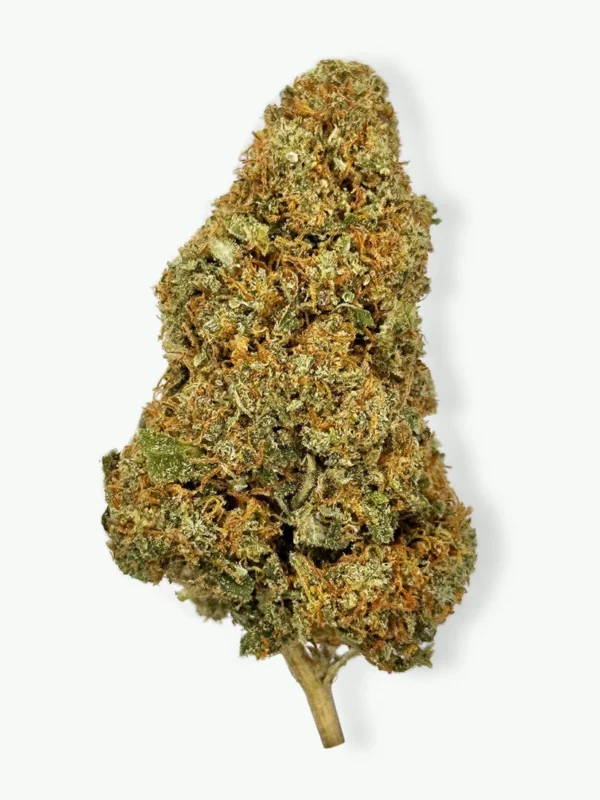 Gorilla Glue 4 Strain