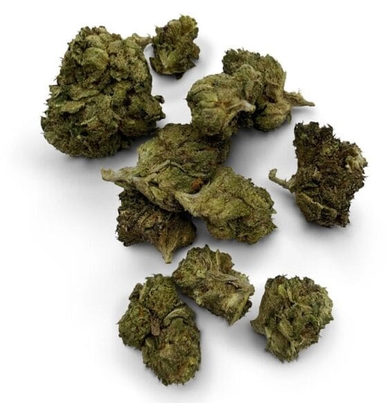 White Runtz Strain