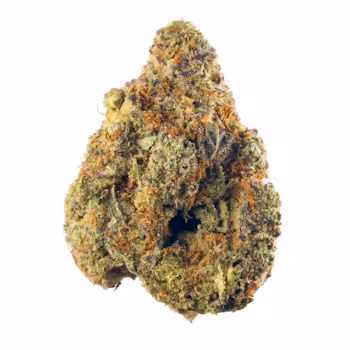 Close-up of Hindu Kush cannabis buds known for earthy aroma and relaxing effects.