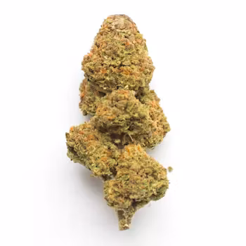 UK Cheese Strain