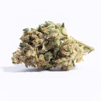 Skywalker OG cannabis buds with bright green leaves, orange hairs, and frosty trichomes, highlighting its hybrid nature and potency.