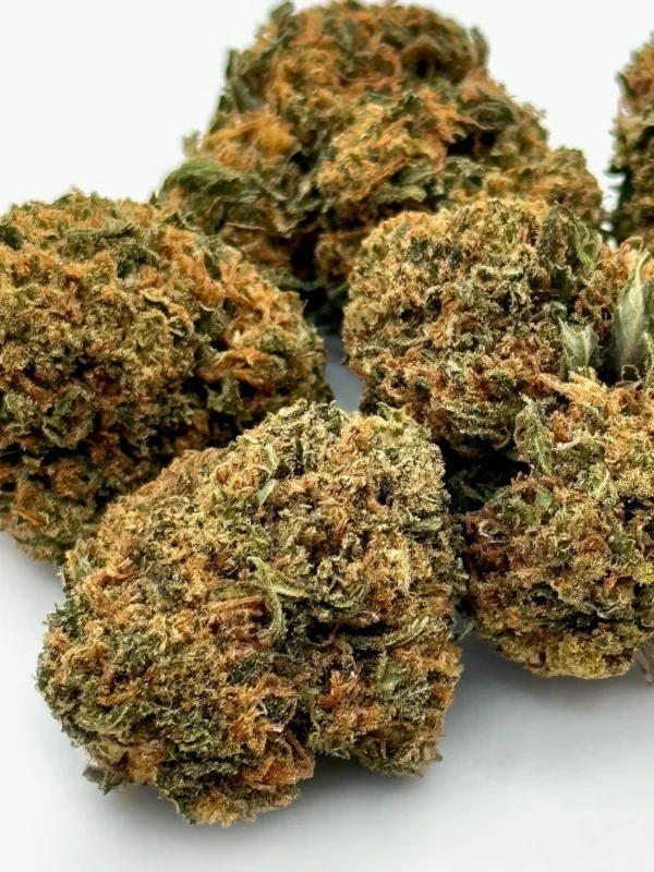 OG Kush Strain