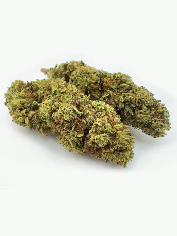 Skunk 1 Strain