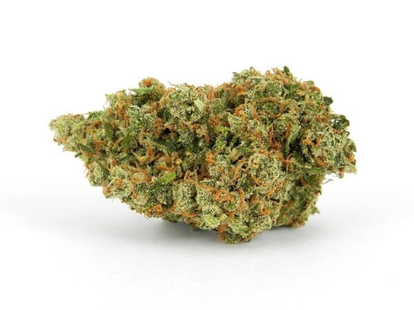 Jack Herer cannabis strain UK – dense green Sativa buds with orange hairs and frosty trichomes