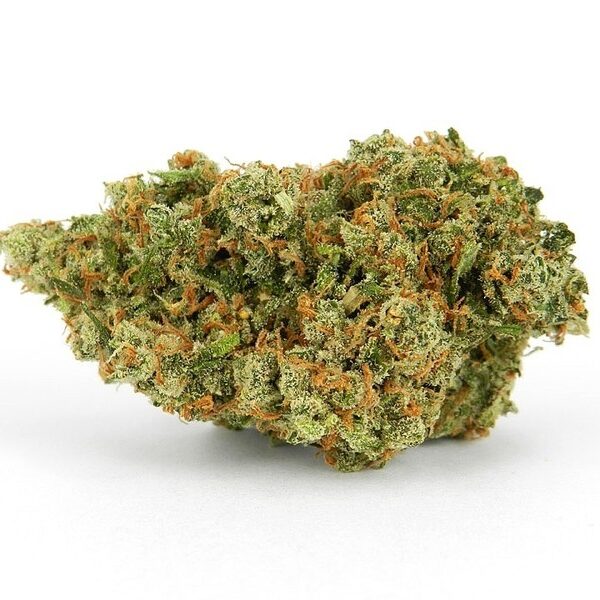 Jack Herer cannabis strain UK – dense green Sativa buds with orange hairs and frosty trichomes