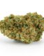 Jack Herer cannabis strain UK – dense green Sativa buds with orange hairs and frosty trichomes