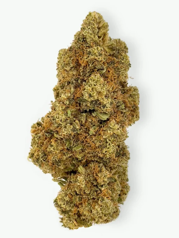Amnesia Haze Strain