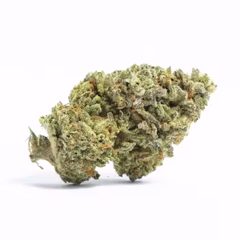Big Buddha Cheese Hybrid Cannabis Strain