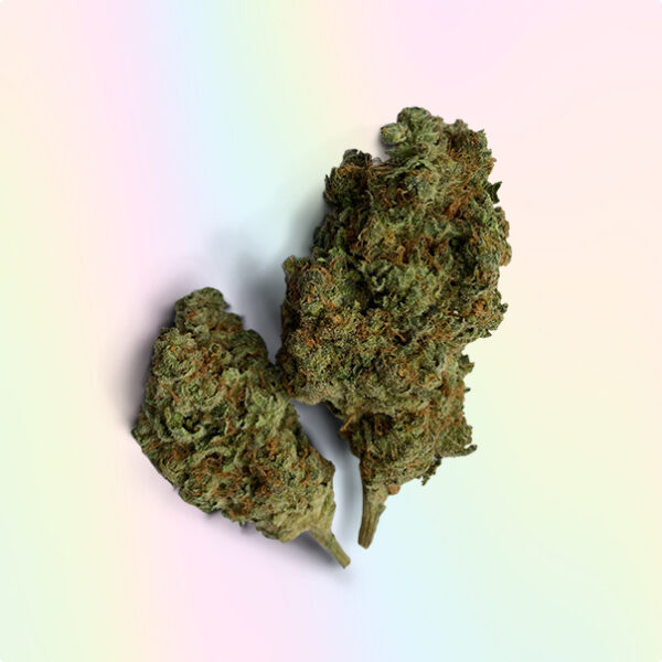 Blue Dream Strain