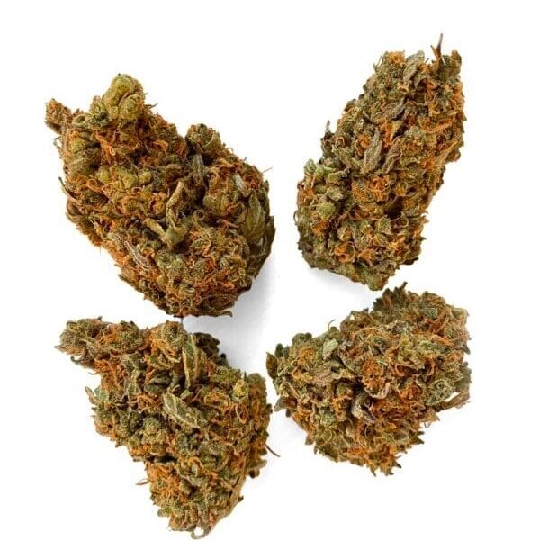 Ice Cream Cake Strain