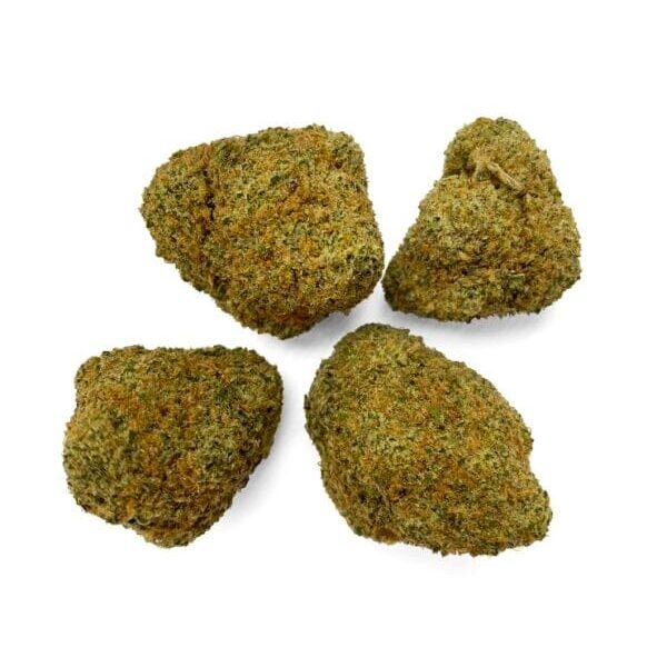Sunset Sherbet Strain