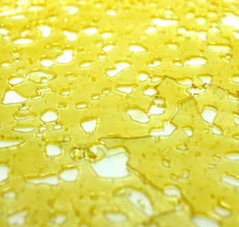 Black Tuna Shatter UK – High THC Concentrate