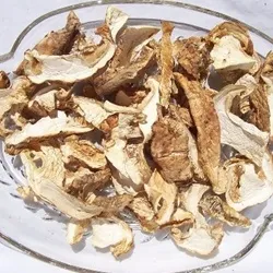 Buy dried matsutake mushrooms wild UK – gourmet-quality mushrooms with rich umami