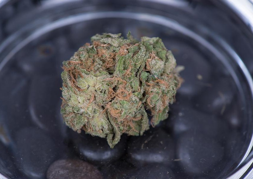 Close-up of Blue Dream cannabis buds with frosty trichomes and vibrant green leaves, grown in the UK