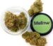 Northern Lights Indica Cannabis Bud 2025