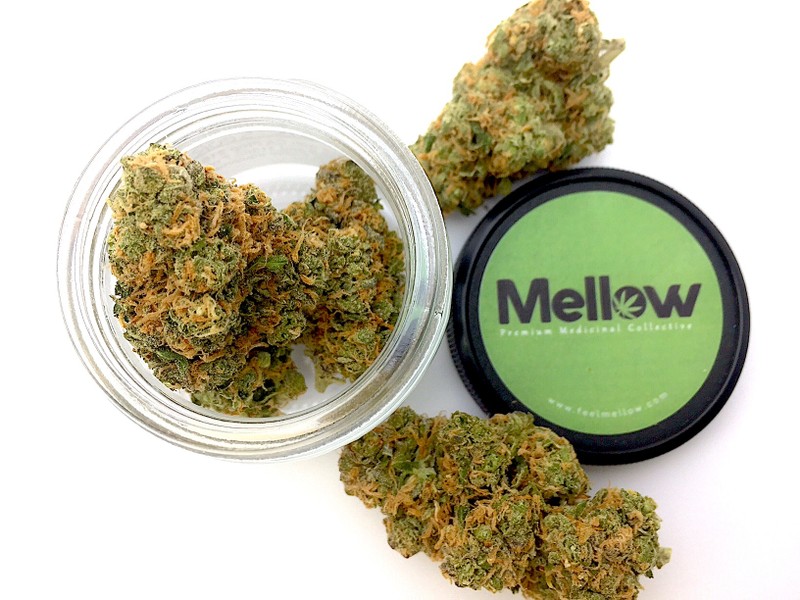 Northern Lights Indica Cannabis Bud 2025