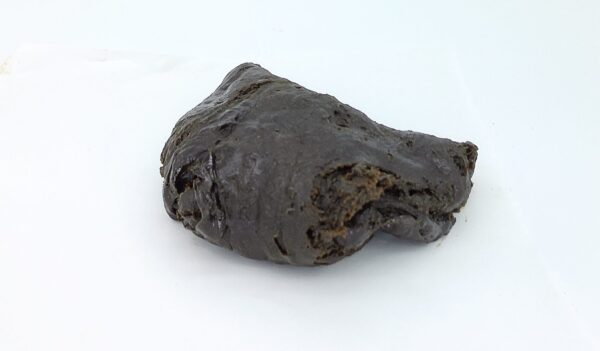 Afghan Habibi Gold Seal Super Skunk Hash