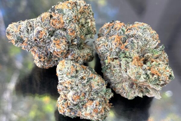 Gelato 41 Strain