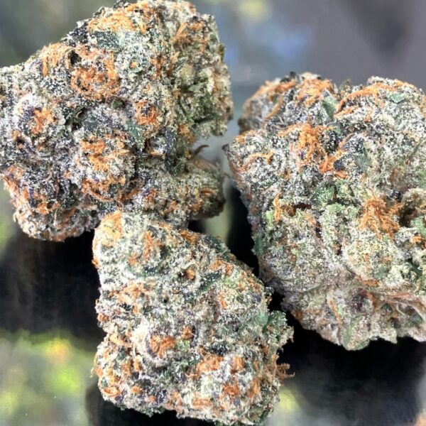 Gelato 41 Strain