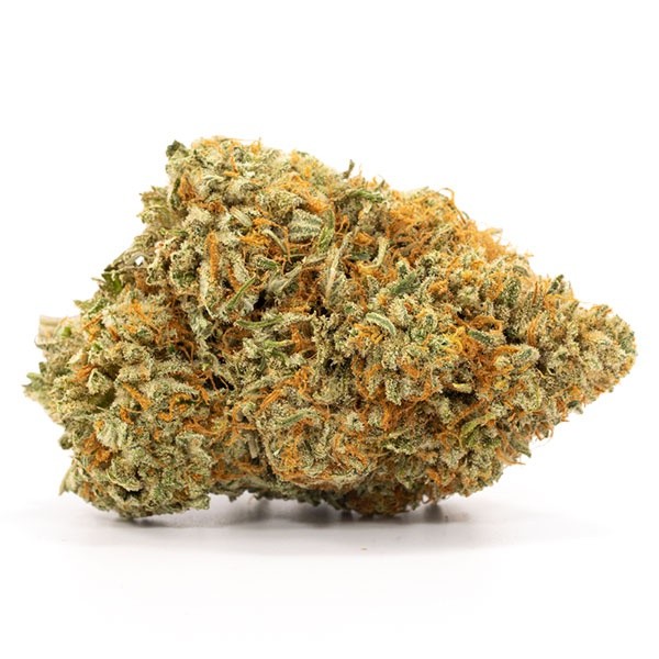 Afghan Kush Cannabis Strain