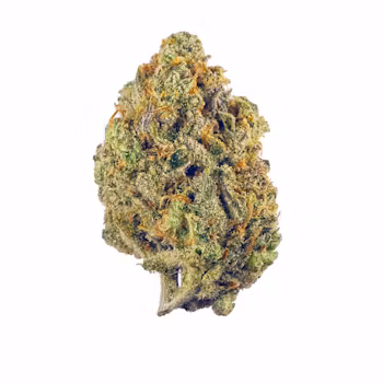 Super Lemon Haze Cannabis Strain UK