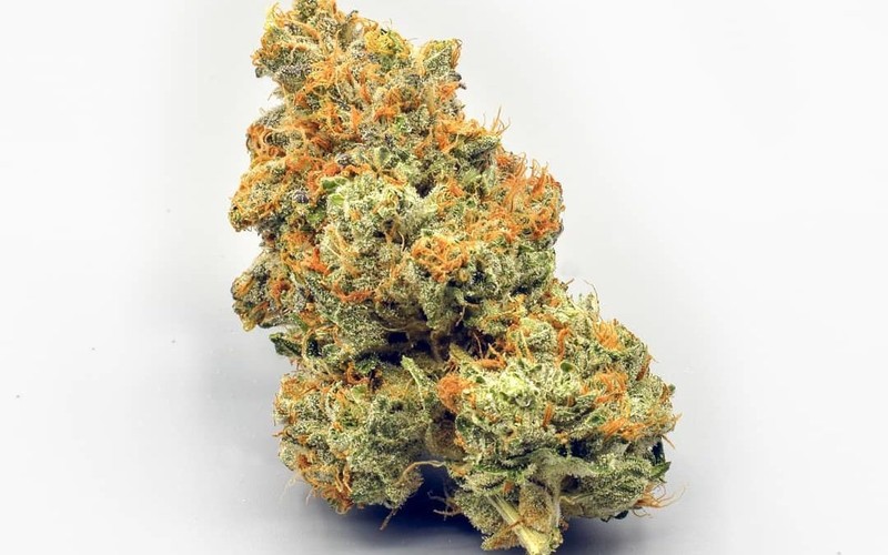 Girl Scout Cookies Cannabis Strain – Effects and UK Buying Guide