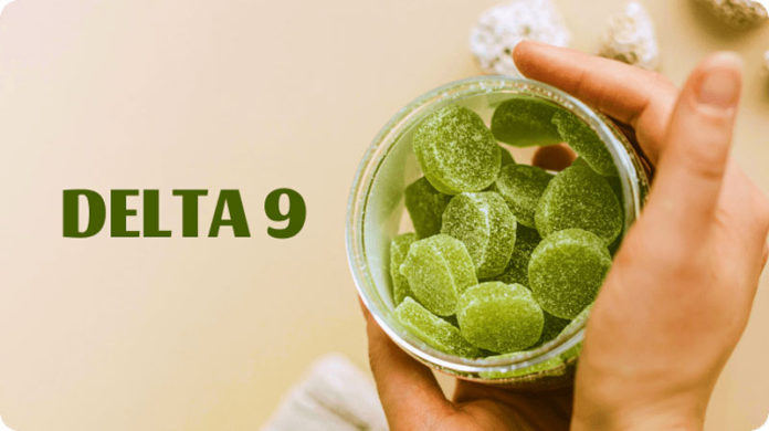 Best Delta 9 Gummies 2025 - Top THC Edibles for Flavor
