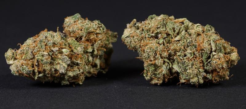 Afghan Kush Strain UK – Classic Indica