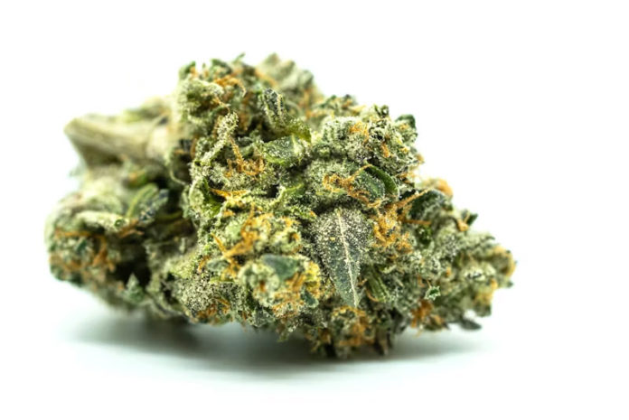 A display of the strongest weed strains in 2025 with vibrant cannabis buds on a dark background