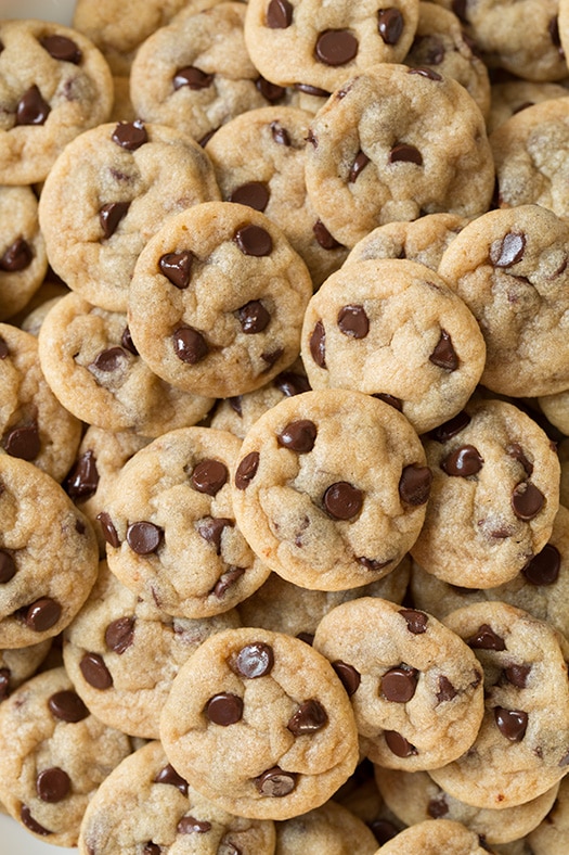 Best Mini Chocolate Chip Cookies 2025 Taste Test