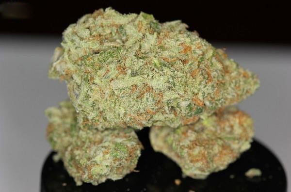 Godfather OG Strain – High THC Indica Cannabis Flower