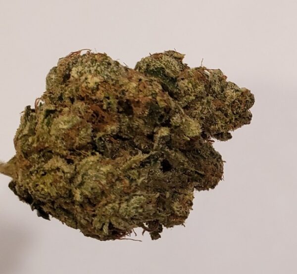 Cali Gas Strain – Premium Hybrid Cannabis Buds UK