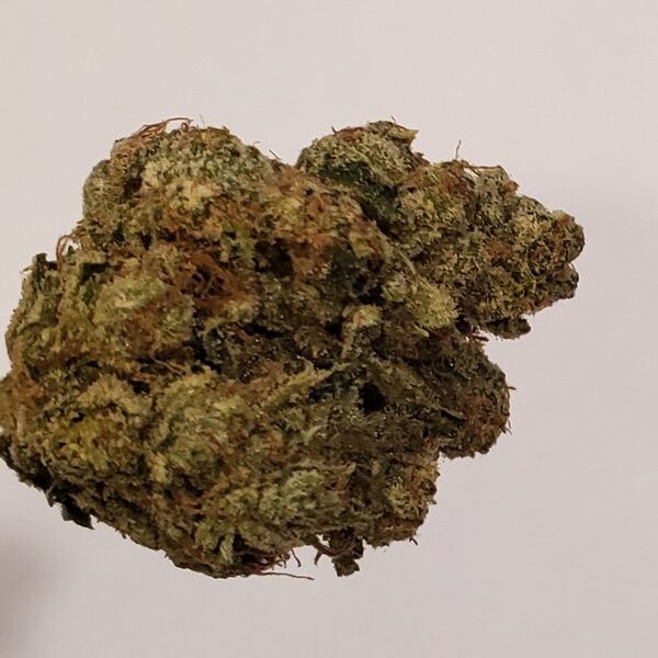 Cali Gas Strain – Premium Hybrid Cannabis Buds UK