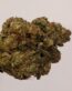 Cali Gas Strain – Premium Hybrid Cannabis Buds UK