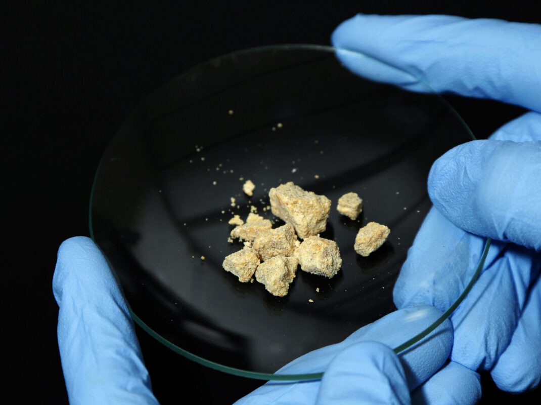 Cocaine detection times in urine, blood, saliva, and hair for roadside tests