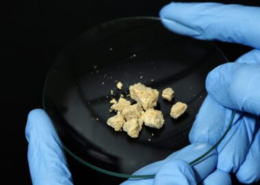 Cocaine detection times in urine, blood, saliva, and hair for roadside tests